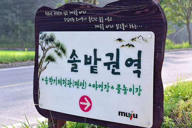 무주 솔밭야영장 시설 사진 9