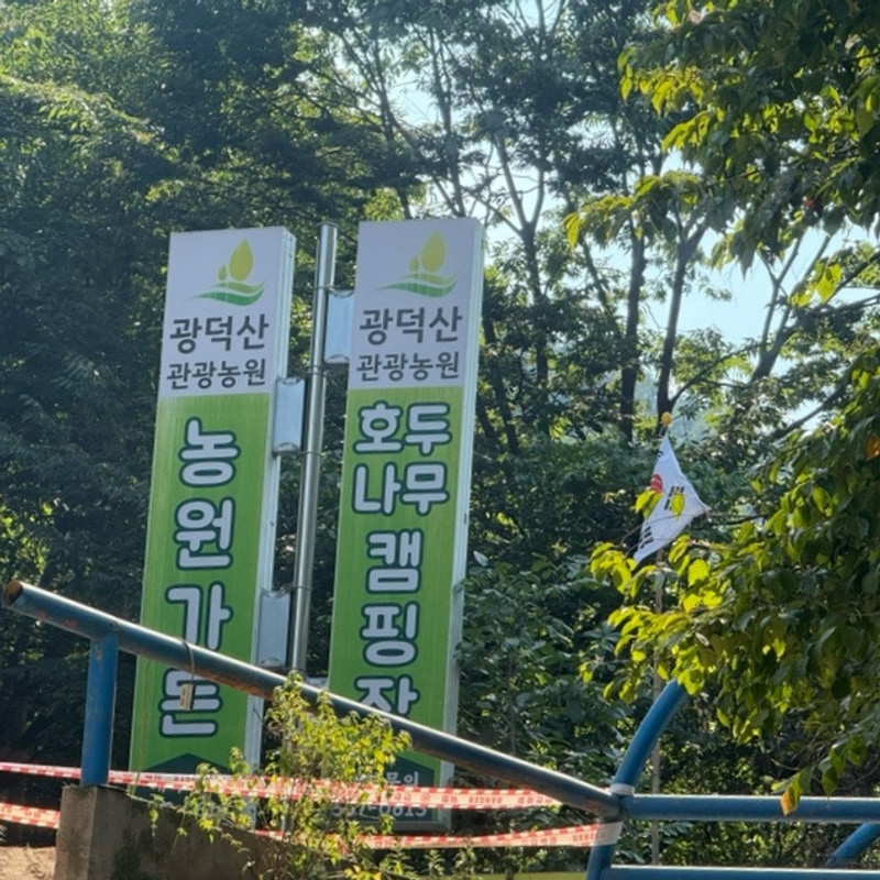 천안 [호두나무캠핑장] 광덕계곡|수영장 / 사이트 소개& 실망...