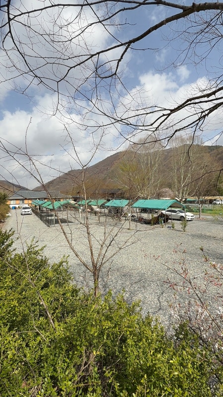 제천 공기 좋고 물 좋은 반려견 패밀리 오토캠핑장 승마체험...