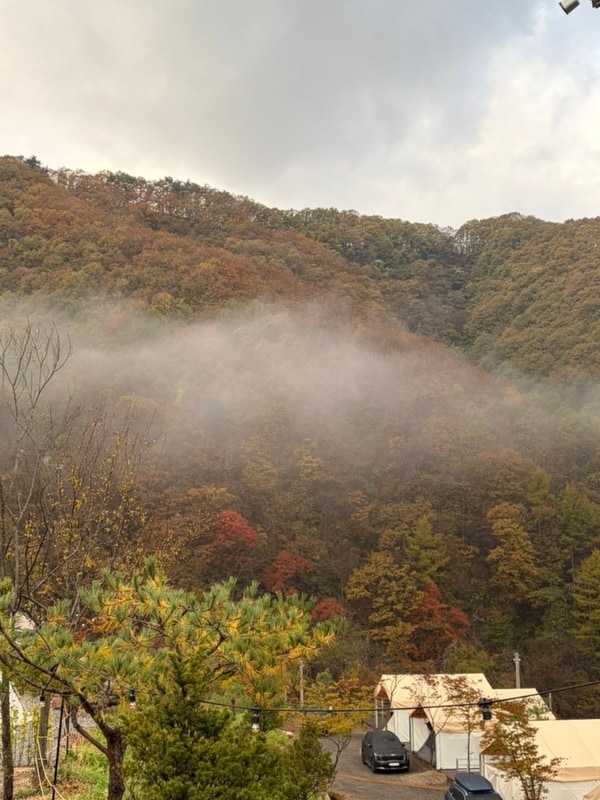 홍천) 오도치캠핑장