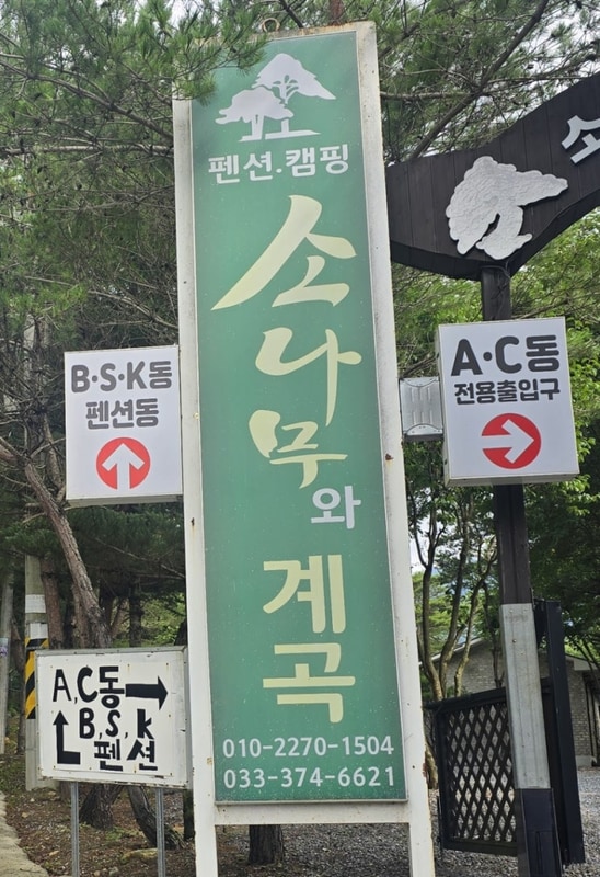 [종가댁영월]“강원 영월 법흥계곡 소나무와계곡 캠핑장 C16번...