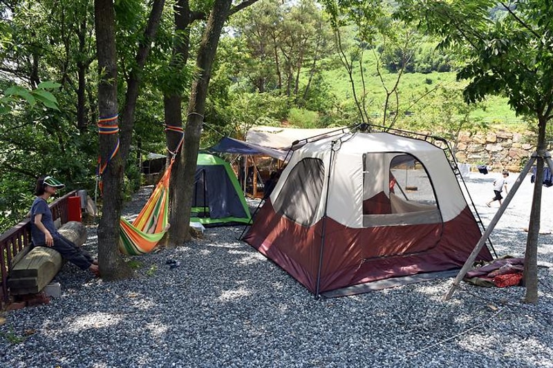 솔바람오토캠핑장 대표 사진