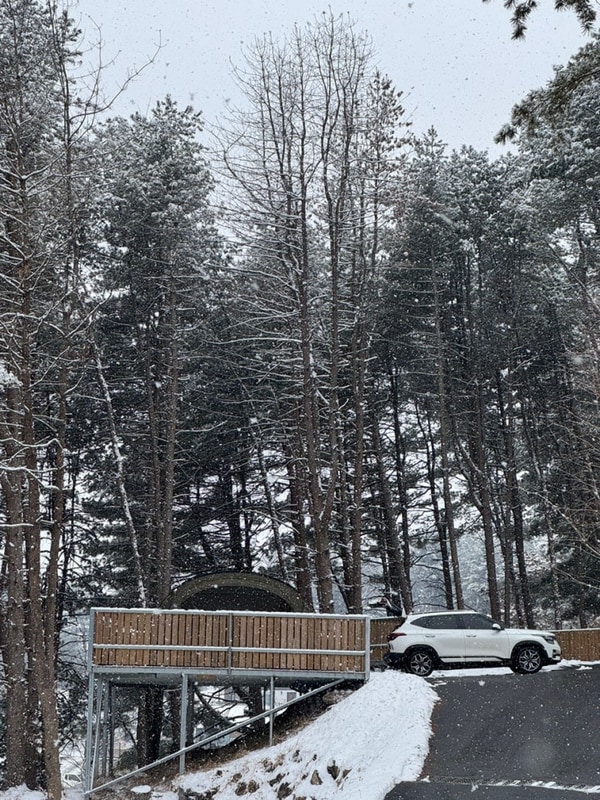 이날 일기 ( 가평 신상 캠핑장 “선택적 고립” 캠핑장 A-5 )