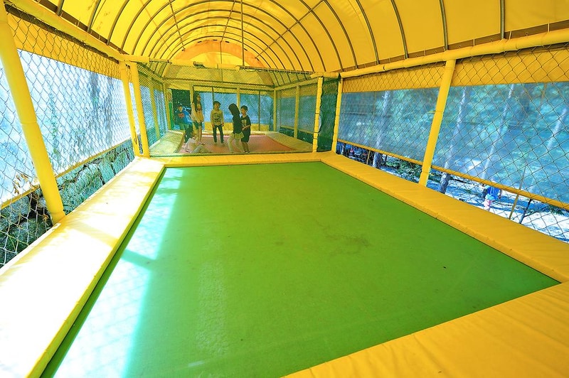 나무새 관광농원 시설 사진 3