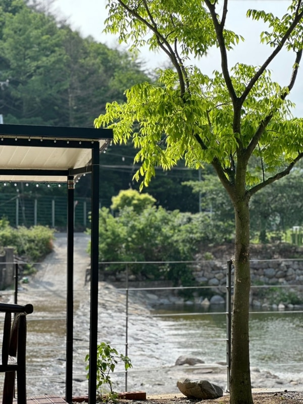 청도 캠핑장 계곡 캠핑장 애견동반 조은자리캠핑장