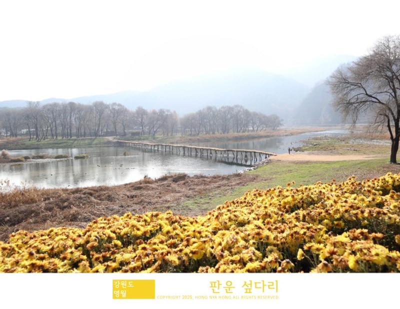 영월 판운섶다리 보보스캇 캠핑장