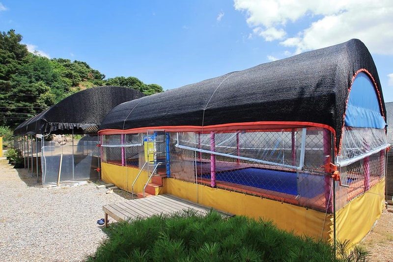 영우네 농어촌 관광농원 시설 사진 3