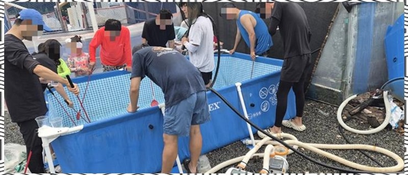 태안키즈캠핑장 신두리세븐패밀리캠핑장에서의 가족 추억 만들기