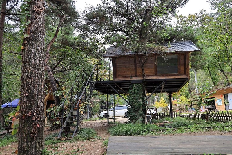 트리하우스계곡야영장 시설 사진 8