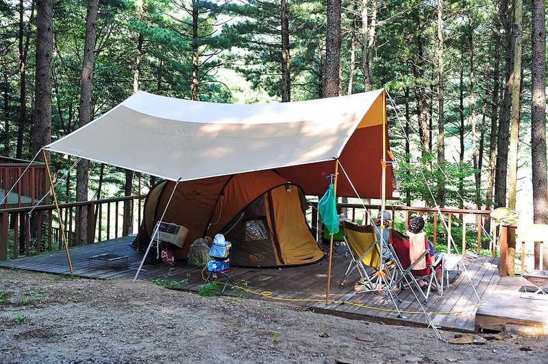 유식물원 관광농원 시설 사진 7