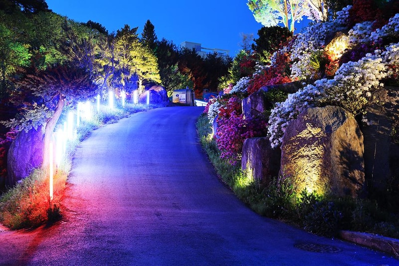 와우파크 시설 사진 11