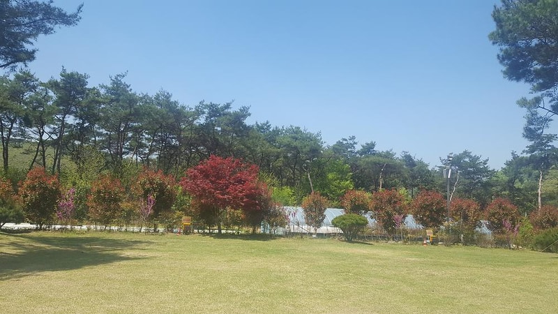 숲속의베리팜 시설 사진 15