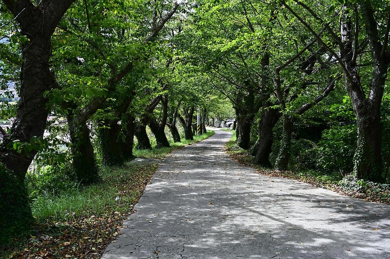 드론스포츠코리아 시설 사진 5