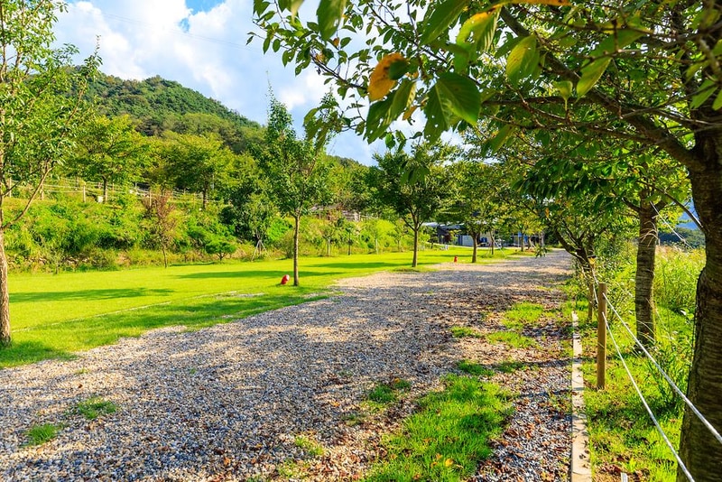 왕산골 관광농원 시설 사진 17