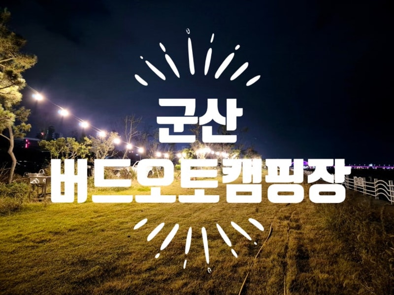 군산) 버드오토캠핑장 차박다녀온 뒤늦은 피드