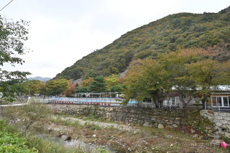 경주오토캠핑장 사계절을 즐길 수 있는 반딧불이캠핑장