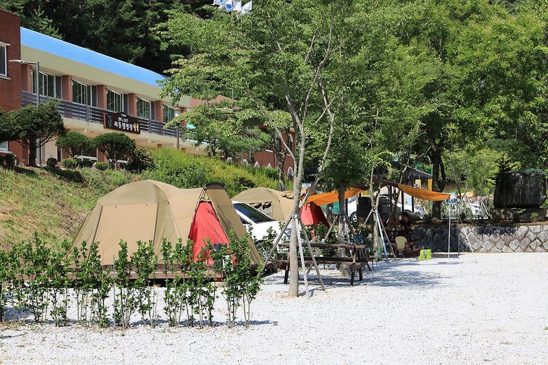 봉화솔향가득서울캠핑장 시설 사진 20