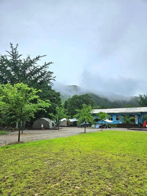 별의바다 조동캠핑장 후기 충북 영동의 별빛 아래 조용한 쉼이...