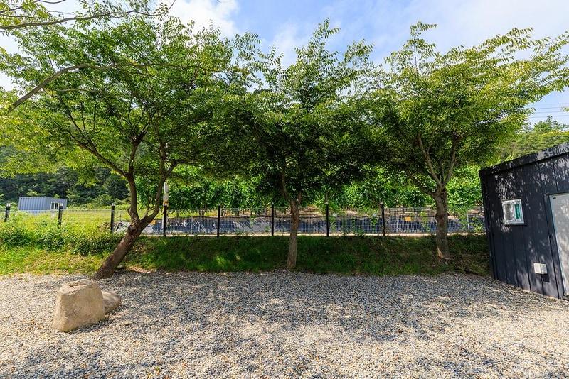 느티담길 캠핑장 시설 사진 11