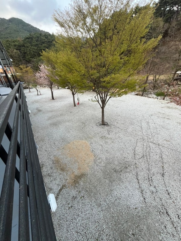 경남 캠핑장 함양대박캠프 할로윈 즐기고 왔네요