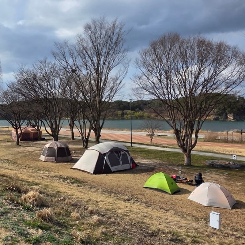 경기도캠핑 여주 오토 캠핑장 및 금은모래강변공원 여주...