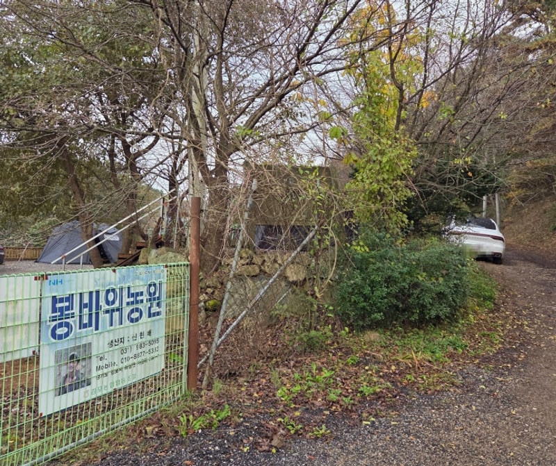 김포 캠핑장 : 봉바위농원캠핑장 나9 사이트 | 애견동반 가능...