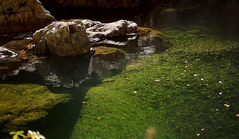 에코팡팡캠핑장 시설 사진 3