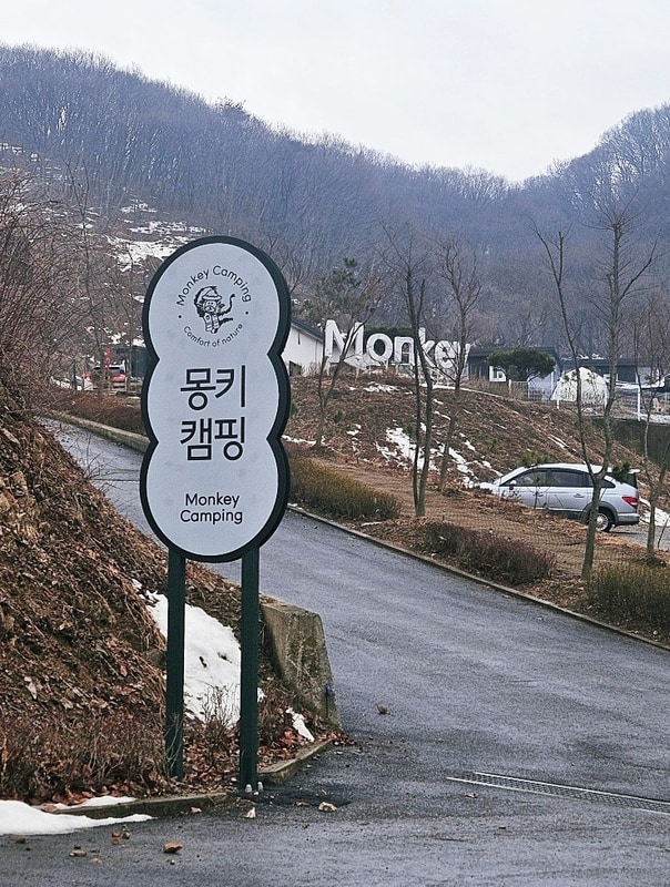 [여행지추천] 천안 몽키캠핑장! 청주 근교 신축 글램핑장!