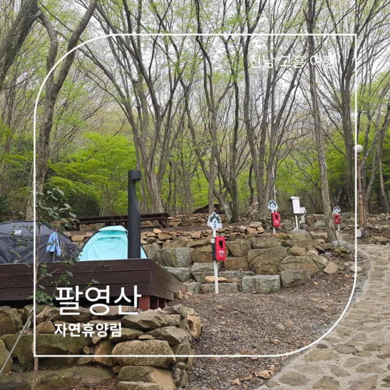고흥 숙소 팔영산 자연휴양림 편백치유의숲 자동차야영장