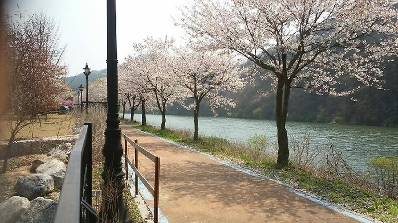 괴강관광농원 시설 사진 22