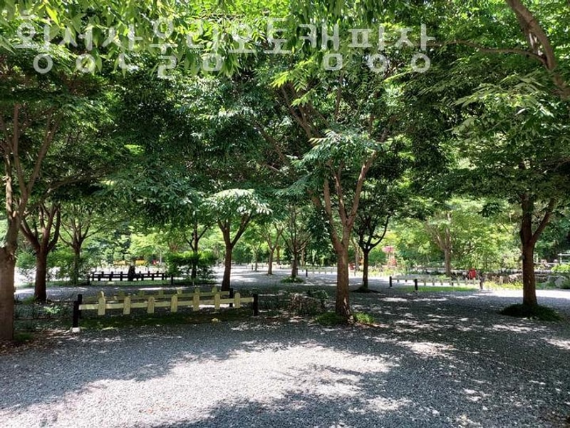 강원도벚꽃명소 횡성산울림오토캠핑장  봄꽃축제 빼놓을 수...