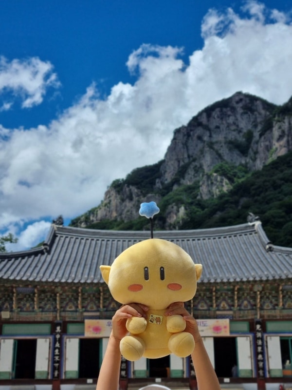 장성 여행(백양사+애플글램핑)