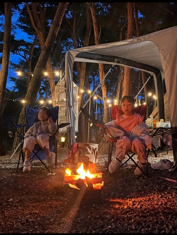 [캠핑장추천]충청남도 서천 늘푸른캠핑장(소나무숲가성비!)