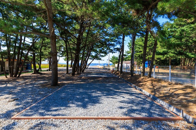 청포대 일등캠핑장 시설 사진 11