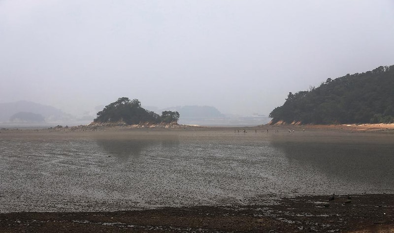 대부관광농원 오캠핑 시설 사진 7