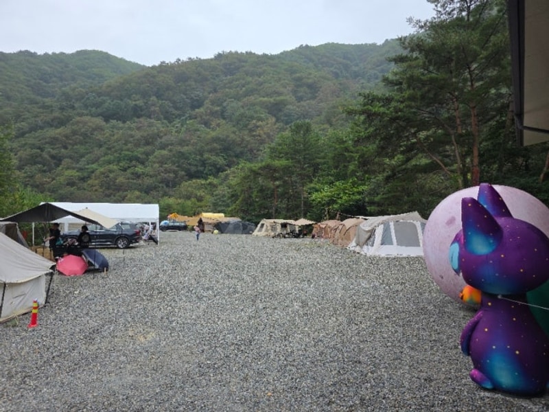 가평 체험수업캠핑장 레드우드캠핑장 레크레이션 보물찾기...