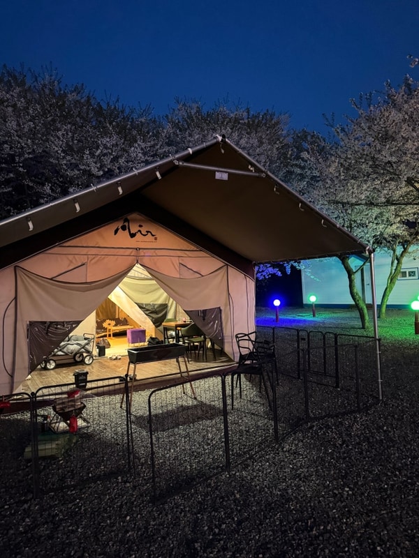 애견동반글램핑추천 서산펫앤트리 벚꽃명소