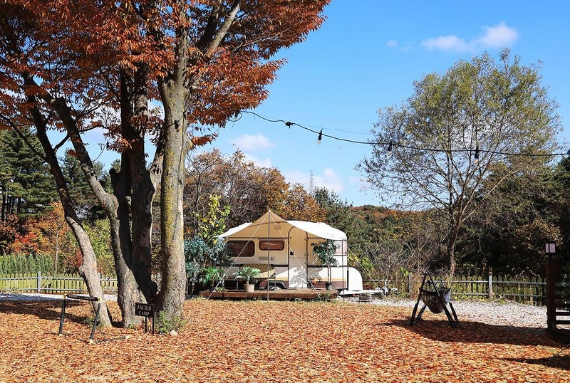 잭스캠프 시설 사진 4