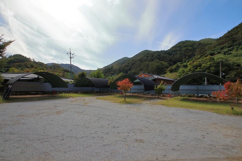 노동오토캠핑장 시설 사진 5
