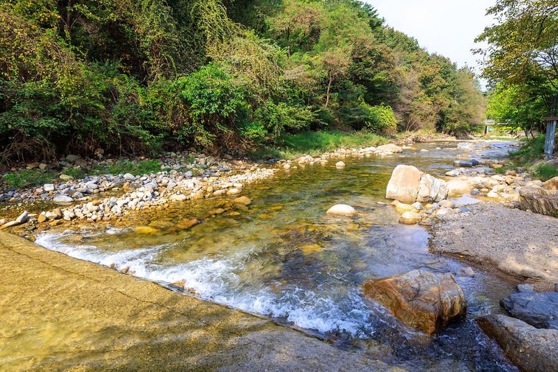 포레스트힐링캠프 시설 사진 5