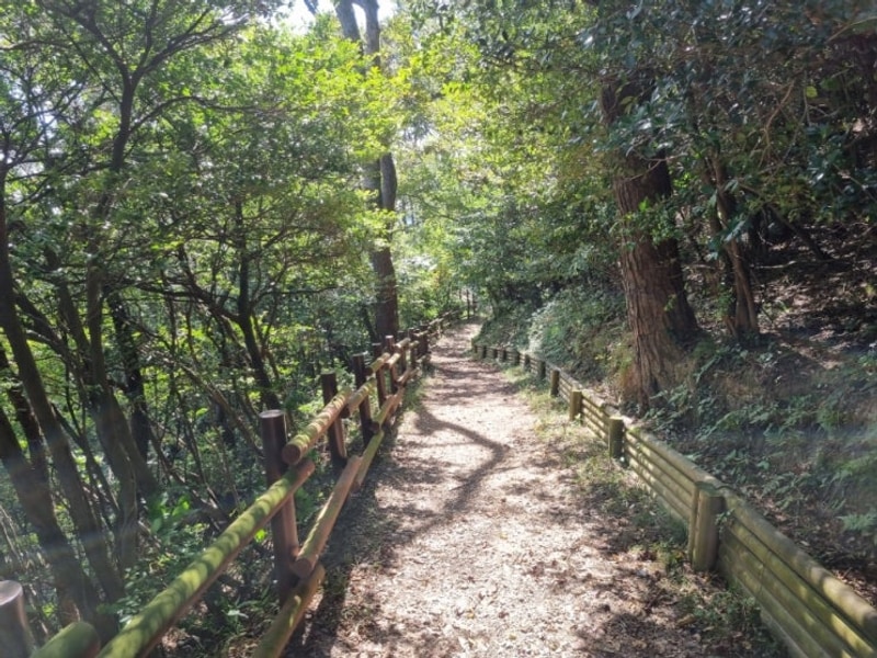 거제 여행, 망봉산 둘레길... 가민 스마트워치 , 궁농오토캠핑장