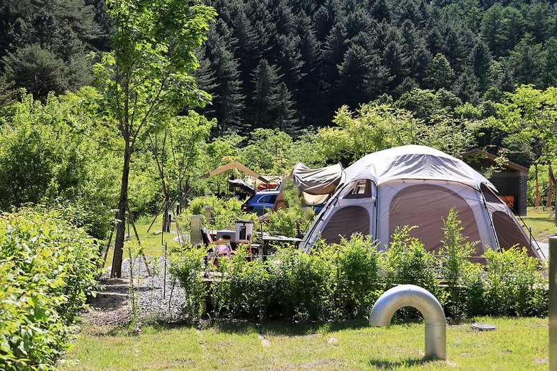 갯골자연휴양림 야영장 시설 사진 1