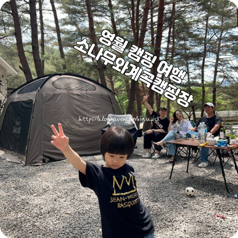 영월 캠핑장 내가 좋아하는 곳으로 가족과 함께 소나무와계곡캠...