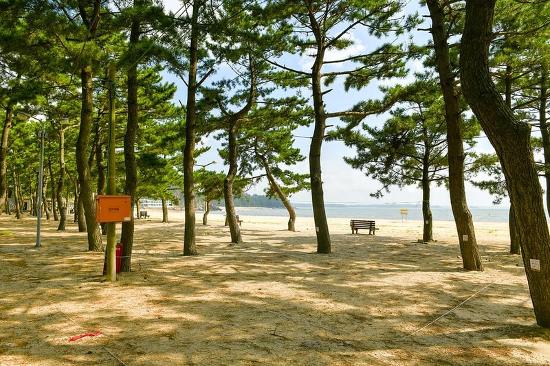 연포제1야영장 시설 사진 7