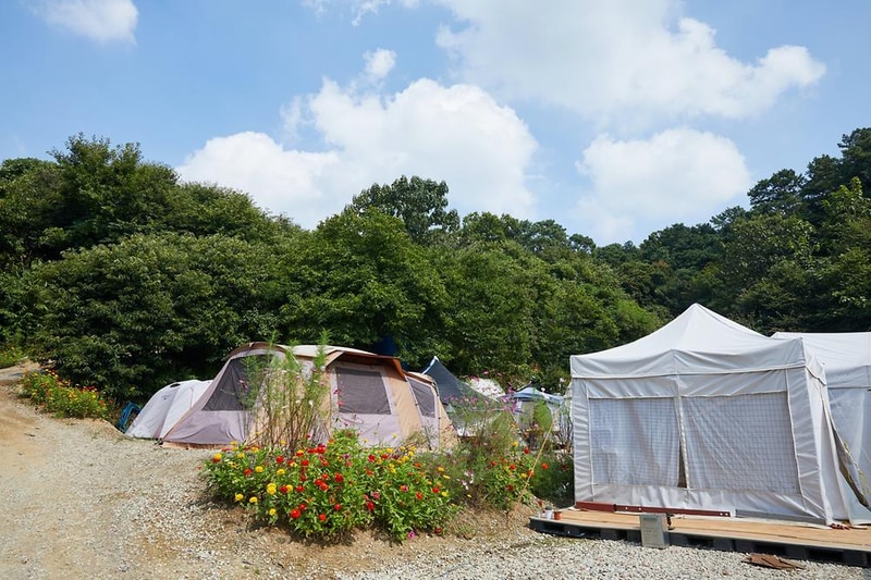 따봉캠핑장 시설 사진 15