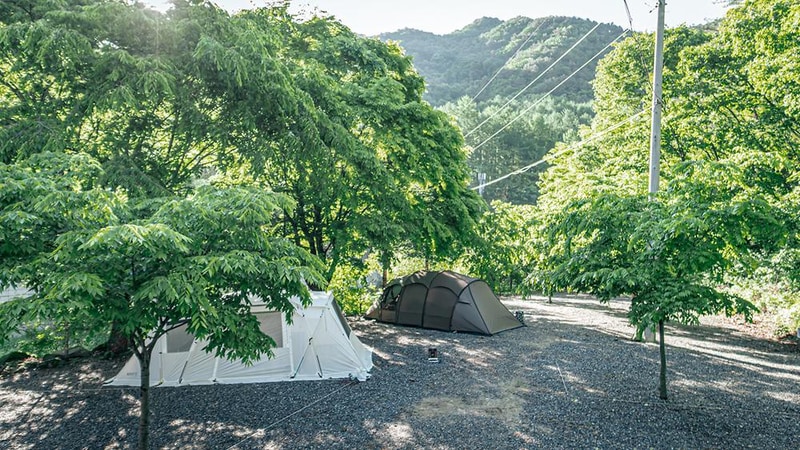 영월 엄둔밸리 계곡캠핑장 시설 사진 12