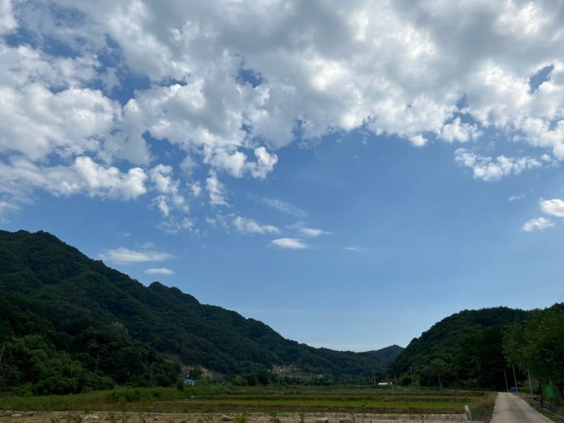 ️ 강원도 캠핑장 추천️ 철원·영월·고성 베스트 5곳 총정리