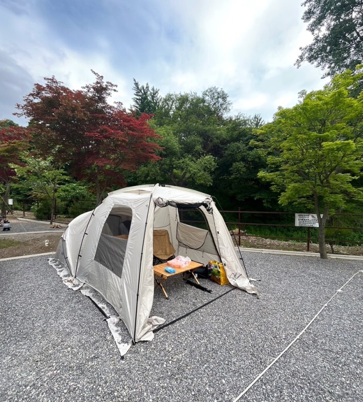 [파주캠핑장] C-04자리후기와 주변산책하기 좋은 율곡캠핑장