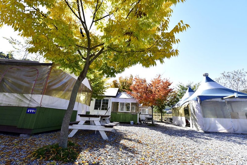위크팜글램핑 시설 사진 11
