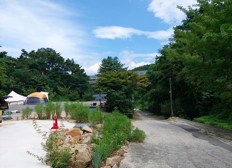 바람숲야영장 대표 사진